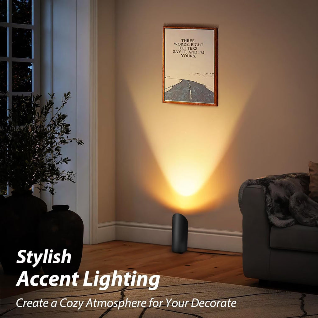 Haokaini 2 Pack Indoor Uplights, LED Spot Lights for Plant & Artwork, Black Floor Can Light Uplighting with Foot Switch, Spotlight Accent Lighting Up Lights Corner Lamp for Home Living Room Picture