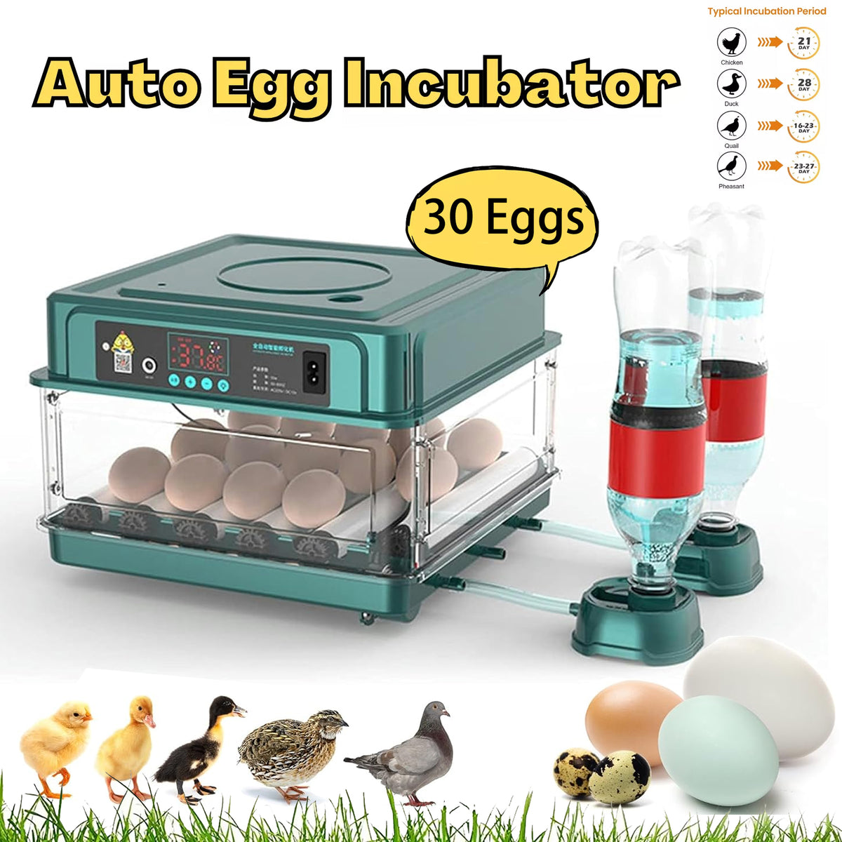 Diceevil 30 Egg Incubator with Automatic Egg Turning and Humidity Temperature Control, Egg Candler Incubators for Hatching Chickens, Ducks, Geese, Quails, and Birds